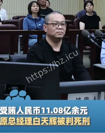 白天辉受贿执行死刑